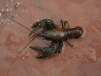 IMG_7864.jpg
