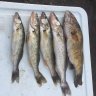 Fishandbeer