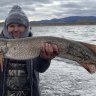 Colorado Fisher