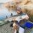 Desert Mountain Angler