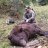 Deadbull