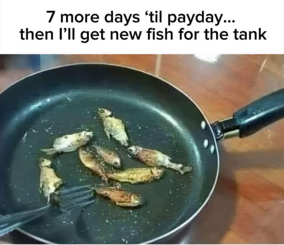 fb_img_1751031010001-jpg.1047470