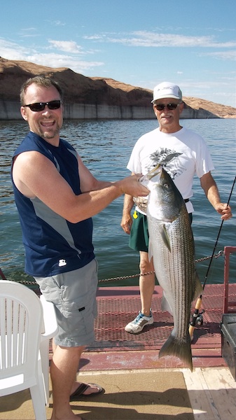 Pictures of Big Stripers Caught at Lake Powell